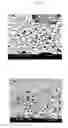 Fig. 02 - Pharmaceutical Aerosol Compositions