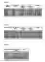 Fig. 02 - METHODS FOR PHOTOSTABILIZING INGREDIENTS WITHIN COSMETICS, PERSONAL CARE AND HOUSEHOLD PRODUCTS AND COMPOSITIONS OBTAINED THEREFROM