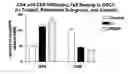 Fig. 01 - Method for altering the CD4/CD8 ratio and the mononuclear cellular infiltrate into a tumor