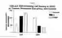 Fig. 02 - Method for altering the CD4/CD8 ratio and the mononuclear cellular infiltrate into a tumor