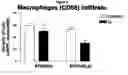 Fig. 06 - Method for altering the CD4/CD8 ratio and the mononuclear cellular infiltrate into a tumor
