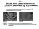 Fig. 08 - Method for altering the CD4/CD8 ratio and the mononuclear cellular infiltrate into a tumor