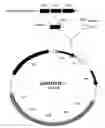 Fig. 01 - Gut commensal bacterium and methods of using the same