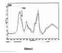 Fig. 02 - Sulfated Depolymerized Derivatives of Exopolysaccharides (Eps) from Mesophilic Marine Bacteria, Method for Preparing Same, and Uses Thereof in Tissue Regeneration