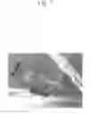 Fig. 08 - Laminate Comprising Multilayer Film Assembled By Hydrogen Bond, Self-Supported Thin Film Obtained Therefrom, and Production Method and Application of the Same