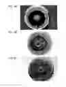 Fig. 06 - Direct-flame fuel cell