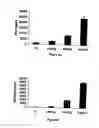 Fig. 09 - Compositions and methods for identifying antigens which elicit an immune response