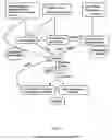 Fig. 08 - Method for efficient post-transcriptional gene silencing using intrinsic direct repeat sequences and utilization thereof in functional genomics