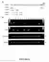 Fig. 07 - Variants of alpha-fetoprotein coding and expression sequences