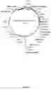 Fig. 02 - Recombinant antibodies against hepatitis C virus and methods of obtaining and using same