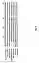 Fig. 03 - Process of Producing a Plastid-Targeted Protein in Plant Cells