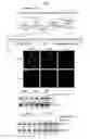 Fig. 02 - Target Cell-Specific Short Interfering Rna and Methods of Use Thereof