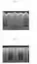 Fig. 02 - Method for fabricating semiconductor device with recess gate