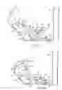 Fig. 03 - Shoulder press exercise machine