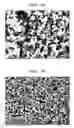 Fig. 02 - Cerium oxide powder and process for producing the same