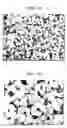 Fig. 07 - Cerium oxide powder and process for producing the same