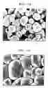 Fig. 08 - Cerium oxide powder and process for producing the same