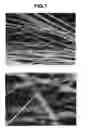 Fig. 02 - Fibrous Catalyst