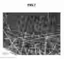 Fig. 08 - Fibrous Catalyst