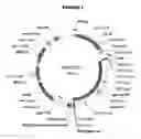 Fig. 02 - Method for determining protein solubility