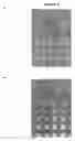 Fig. 06 - Method for determining protein solubility