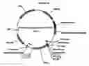 Fig. 21 - Method for determining protein solubility