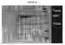 Fig. 22 - Method for determining protein solubility
