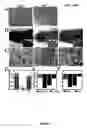 Fig. 02 - Method for Inducing Mammary Epithelial Cell Differentiation