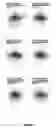 Fig. 06 - Method for Inducing Mammary Epithelial Cell Differentiation