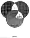 Fig. 07 - Method for Inducing Mammary Epithelial Cell Differentiation