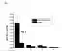 Fig. 02 - Method of screening for a carnitine transporter agonist or antagonist and its uses