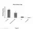 Fig. 05 - Bioadhesive for tissue repair