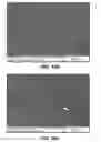 Fig. 13 - Bioadhesive for tissue repair