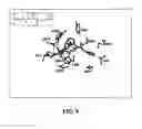 Fig. 09 - Conformationally constrained Smac mimetics and the uses thereof