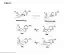 Fig. 06 - Ligands for nicotinic acetylcholine receptors, and methods of making and using them
