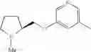 Fig. 85 - Ligands for nicotinic acetylcholine receptors, and methods of making and using them