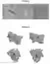 Fig. 09 - Methods and compositions for detecting amyotrophic lateral sclerosis