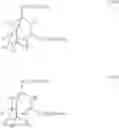 Fig. 20 - Fluoroadamantane derivative