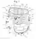 Fig. 02 - Absorbent articles comprising graphics