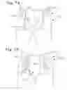 Fig. 08 - Absorbent articles comprising graphics