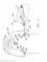 Fig. 08 - Surgical tape and method for using same