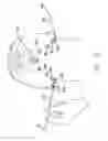 Fig. 09 - Surgical tape and method for using same