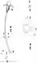 Fig. 06 - Flexible introducer