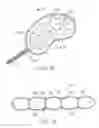 Fig. 07 - Systems and methods treating a vertebral body related applications