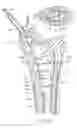 Fig. 08 - Systems and methods treating a vertebral body related applications