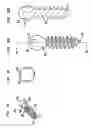 Fig. 21 - Methods for stabilizing bone using spinal fixation devices