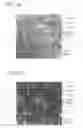 Fig. 02 - Chemically crosslinked ultrahigh molecular weight polyethylene for artificial human joints