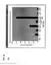 Fig. 13 - System and method for determining pipe flow parameters