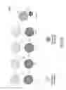Fig. 03 - Methods for discretized processing and process sequence integration of regions of a substrate