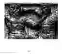 Fig. 07 - Method of fund raising for a predetermined cause utilizing a photo-mosaic composition